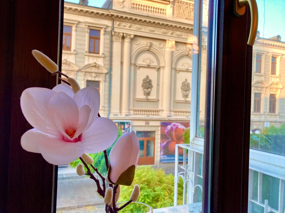 Chira Chiralina Classic Apartment Brăila Dış mekan fotoğraf